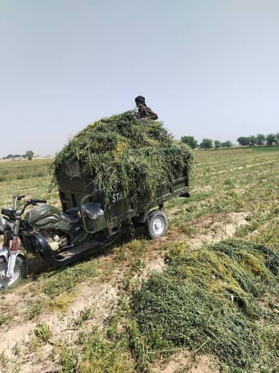 150cc loader rickshaw 2025