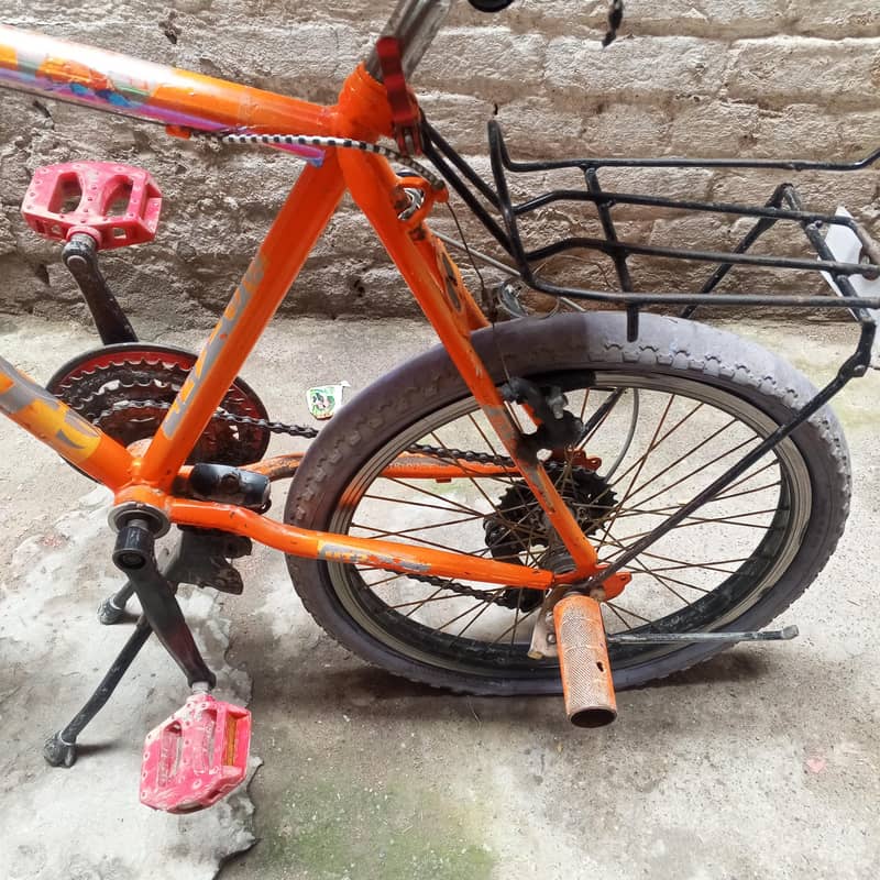 Fonix Cycle for elders 1
