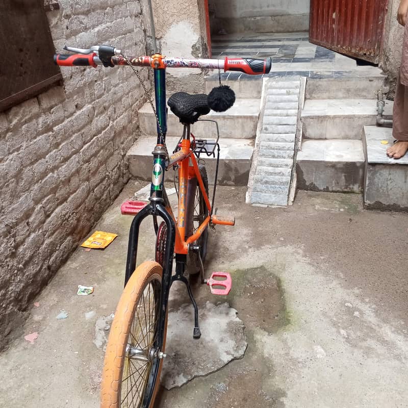 Fonix Cycle for elders 2