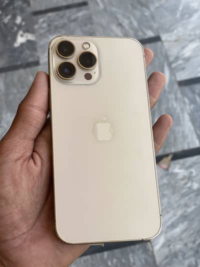 iPhone 13 Pro Max