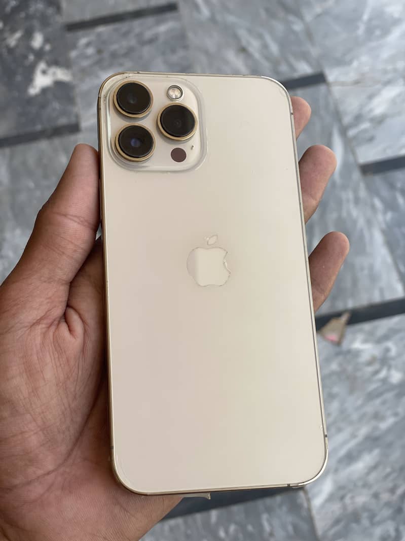 iPhone 13 Pro Max 0