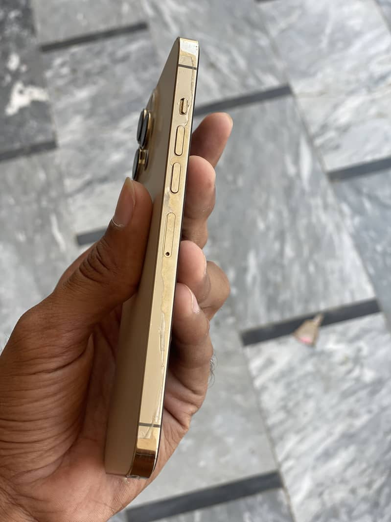 iPhone 13 Pro Max 1