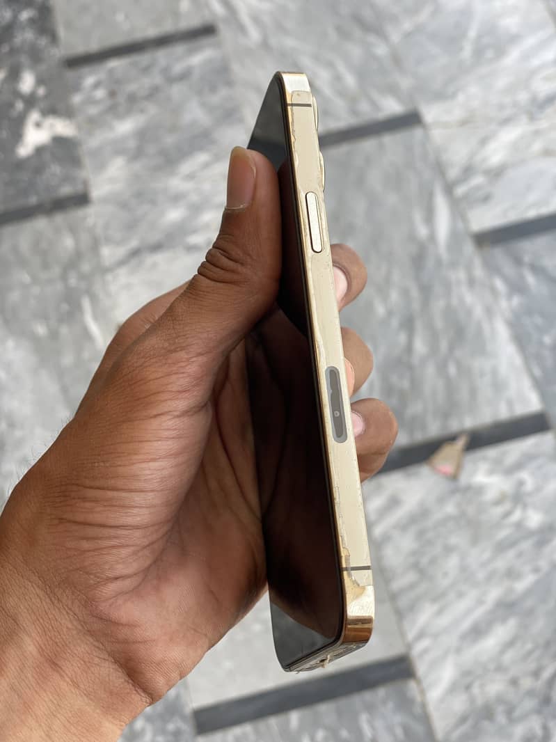 iPhone 13 Pro Max 2