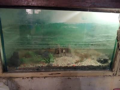 aquarium for sale size 3.5/1.5