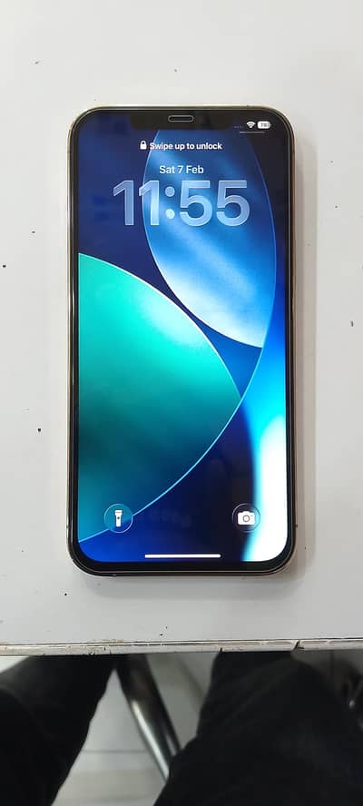Apple iPhone 12 Pro Max