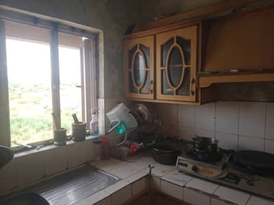 Need a Cook