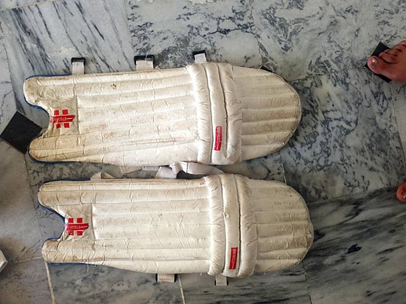 Cricket kit 2