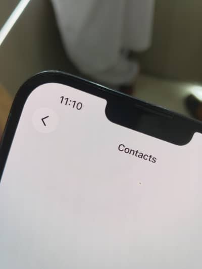 Apple iPhone 13 Pro Max