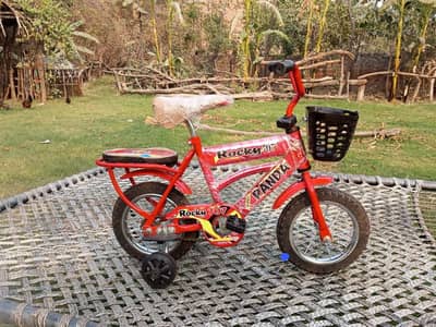 Bicycle 12 Inch at wholesale rate