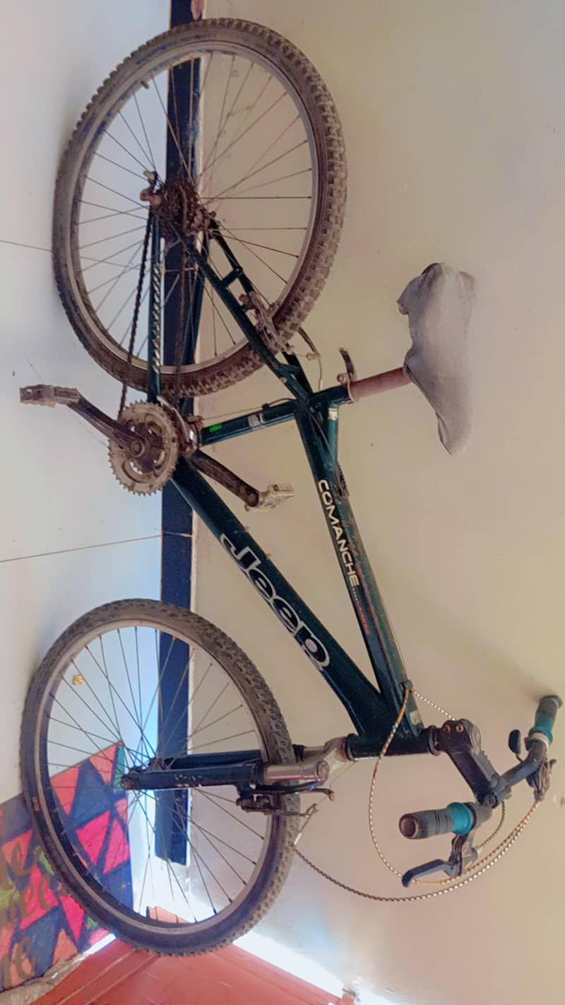 bicycle 1