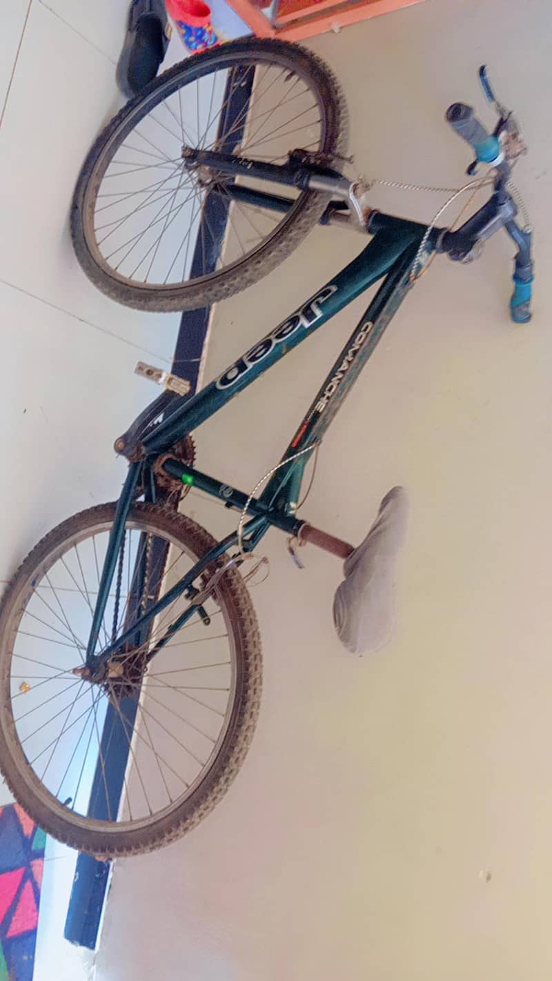 bicycle 2