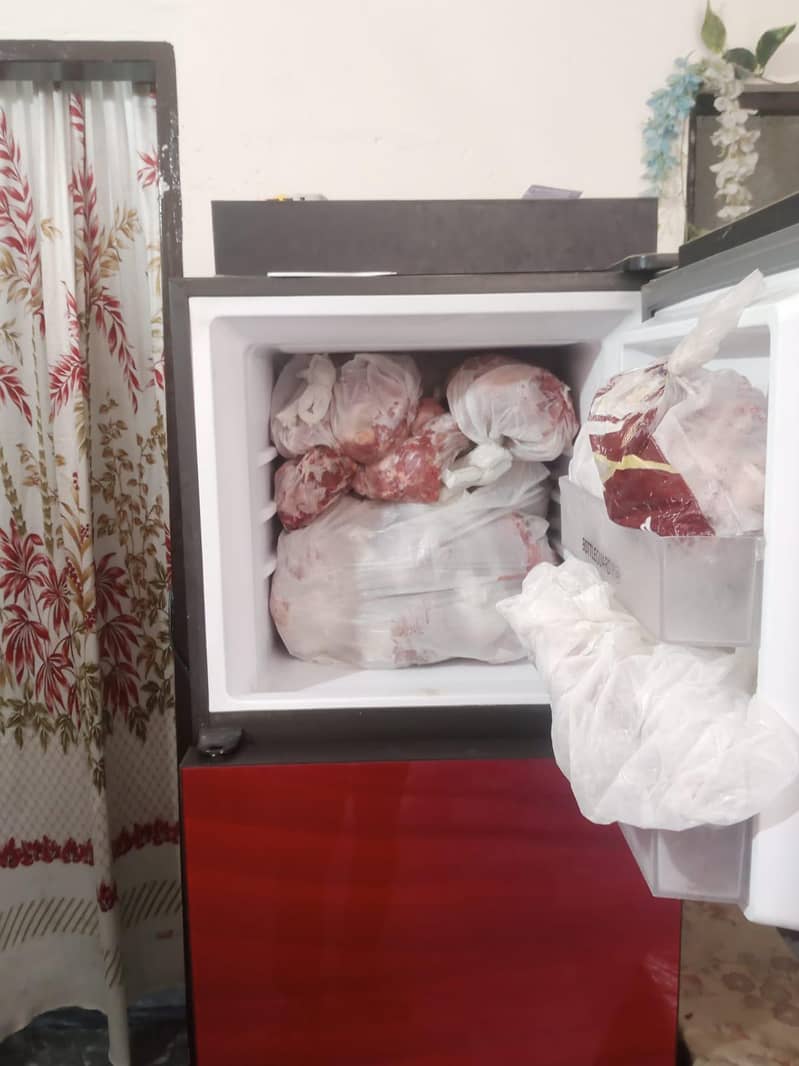 fridge 1