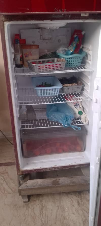 singer 's Fridge