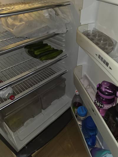 Dowlance refridgerater