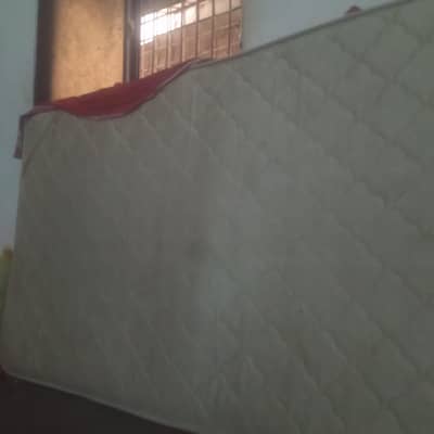 single bed molty foam
