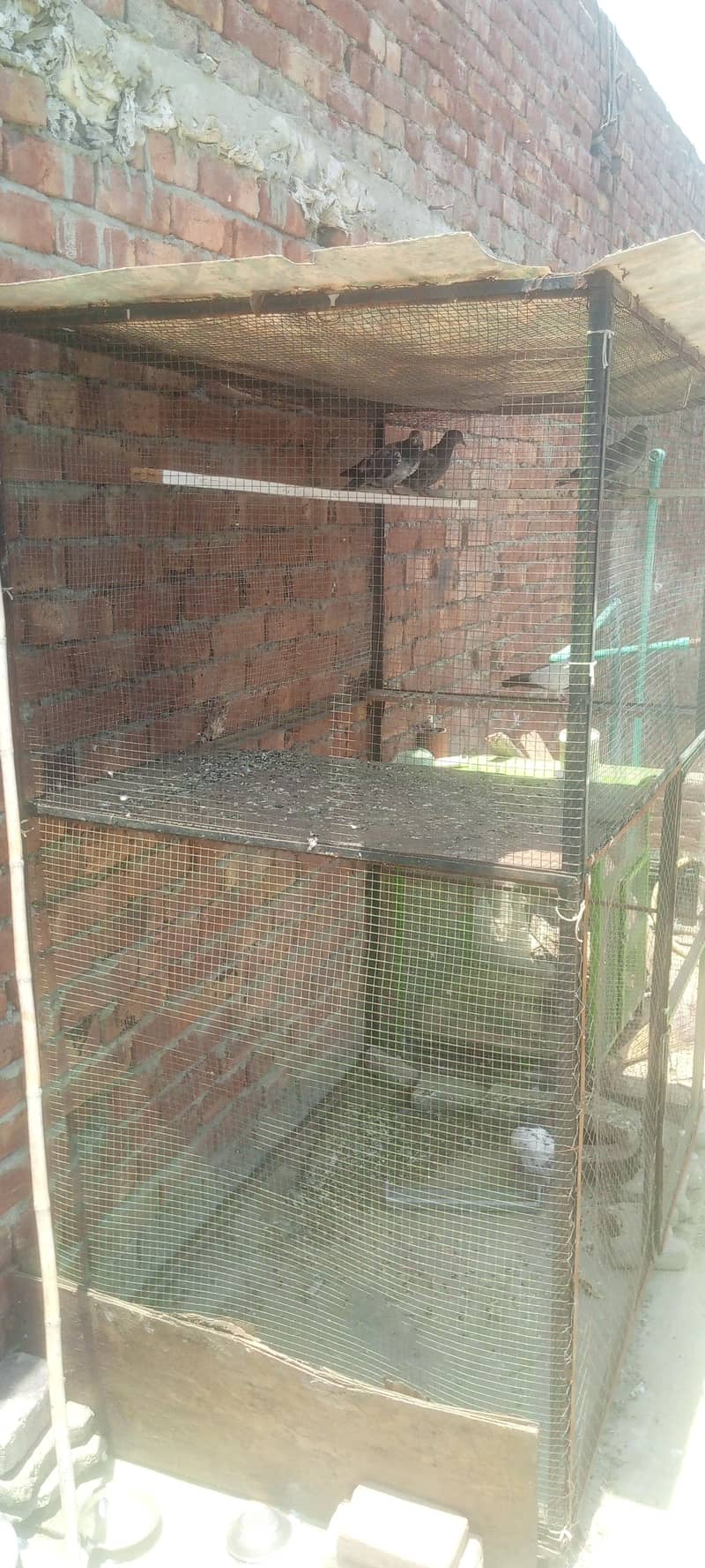 Cage. 1