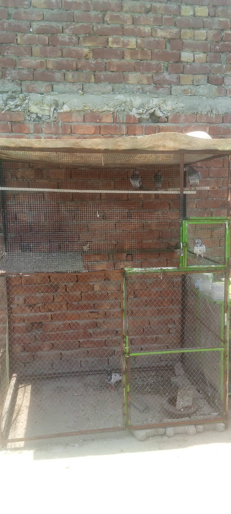 Cage. 2