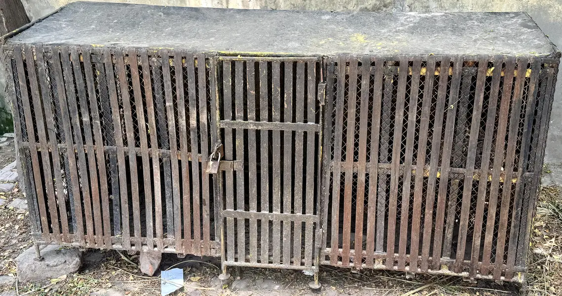 Pure Iron Made Cage For Sale