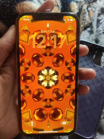 Apple iPhone 12 Pro  PTA