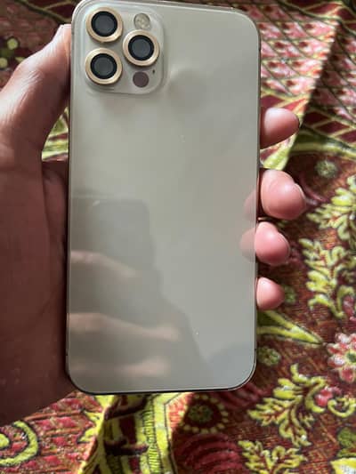 Apple iPhone 12 Pro