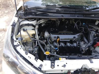 Toyota Corolla GLI 2017