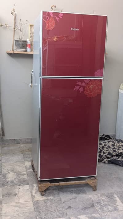 Haier Refrigerator| Excellent Cooling