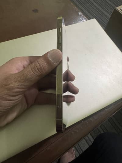 Apple iPhone 12 Pro