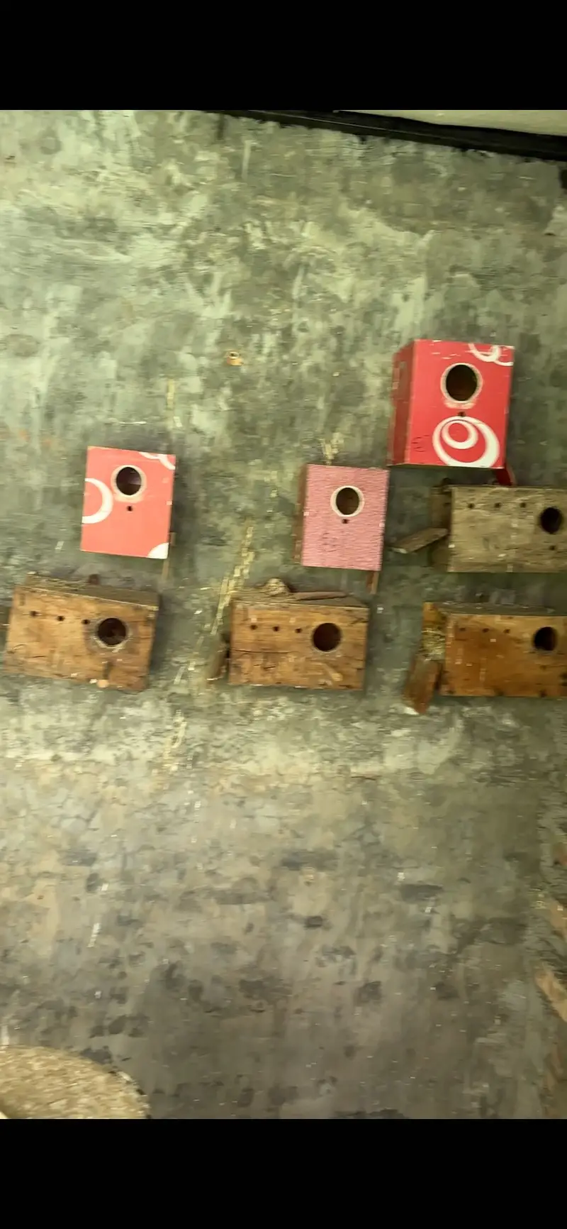 Boxes for sale — photo 2