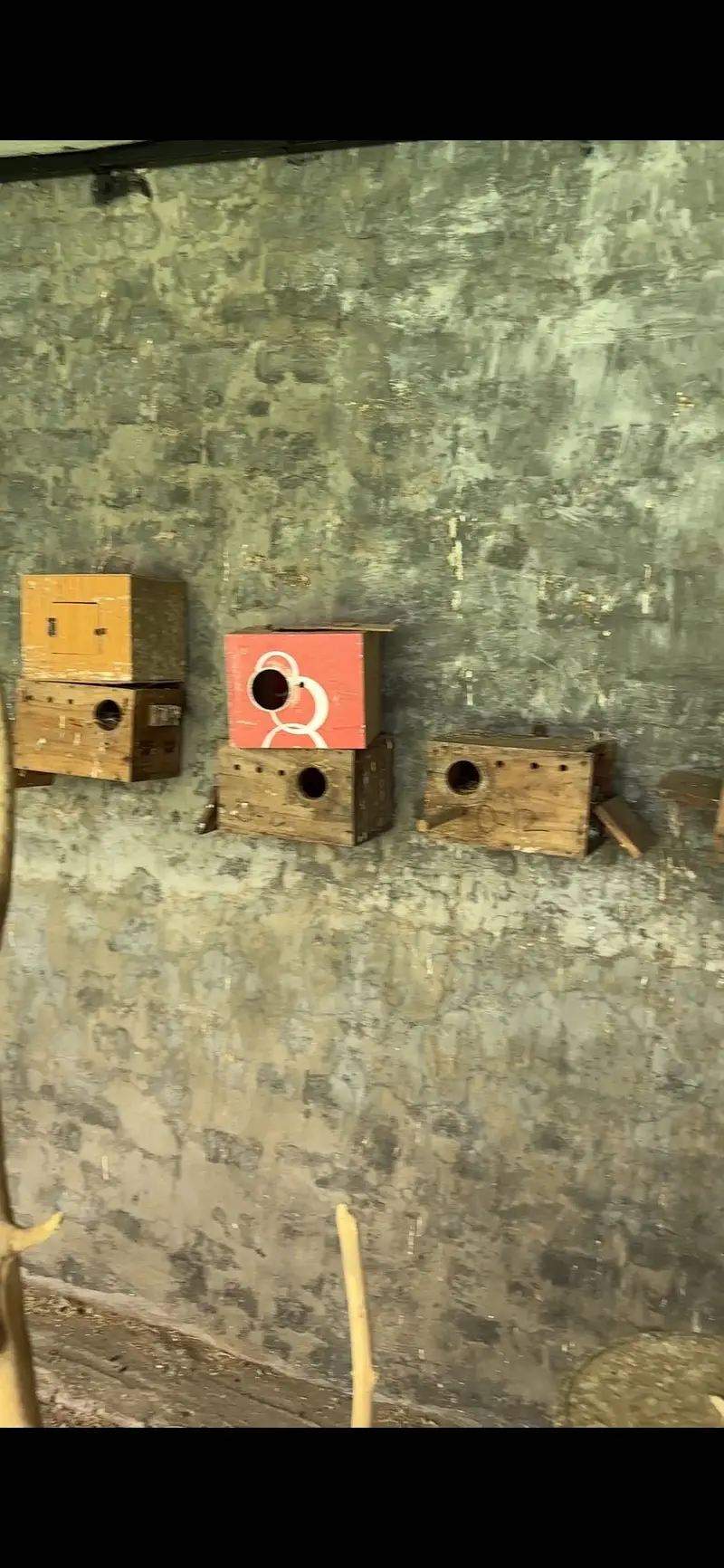 Boxes for sale — photo 3