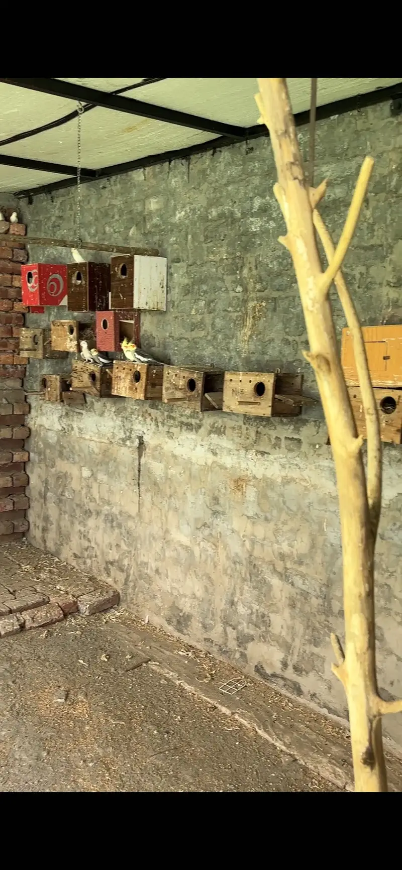 Boxes for sale — photo 4