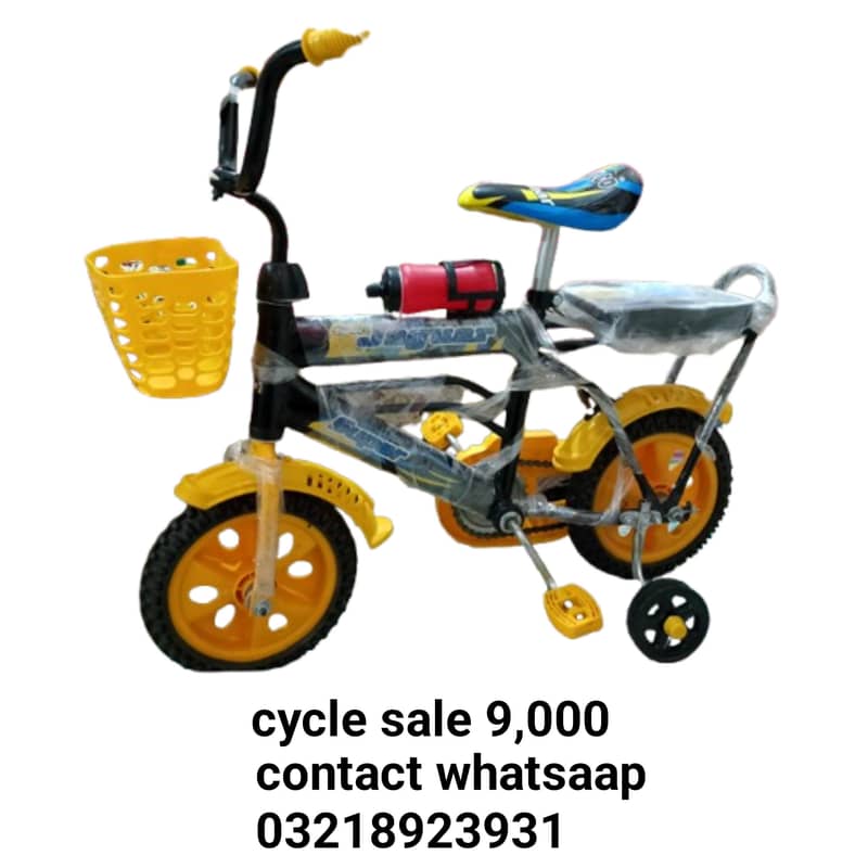cycle 0