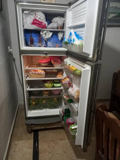 fridge freeze