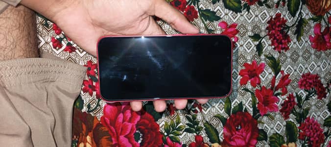Apple iPhone 13