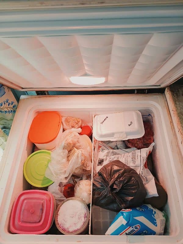 deep freezer 3