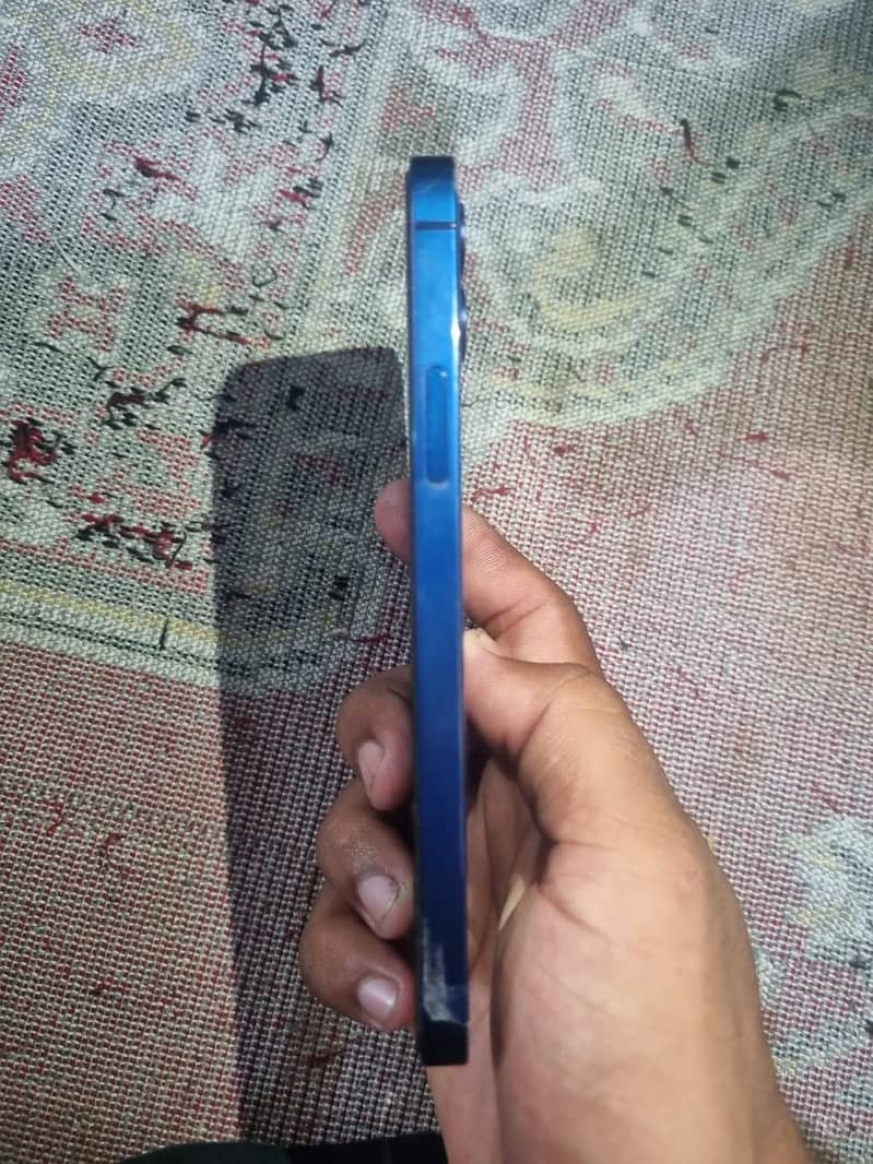 Apple iPhone 12 1