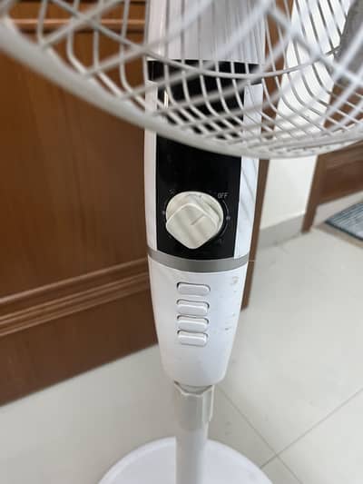 Optima Fan (imported)