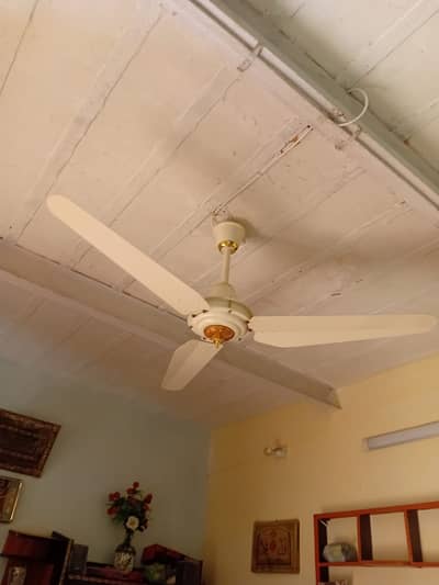 Celing Fan