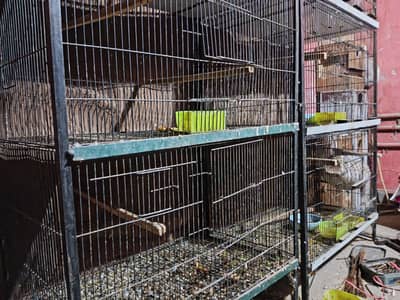 2 parrot cage with wooden box and matkay