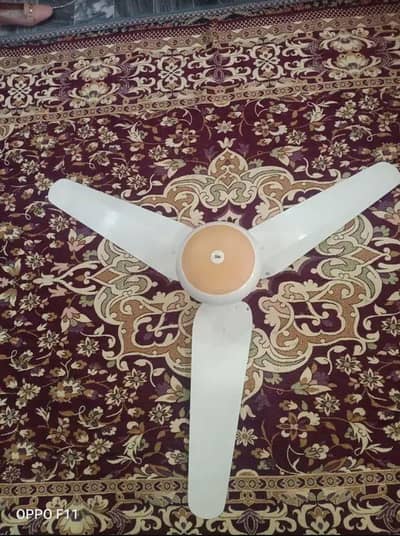 SK Fan 2 Royal 3 Fan Available