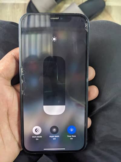 Apple iPhone 12