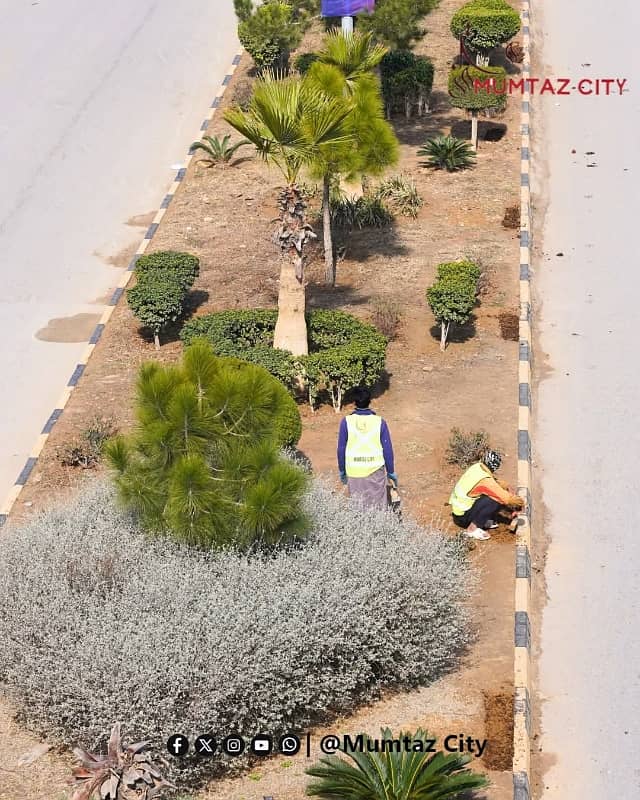 Prime Location Plot 4