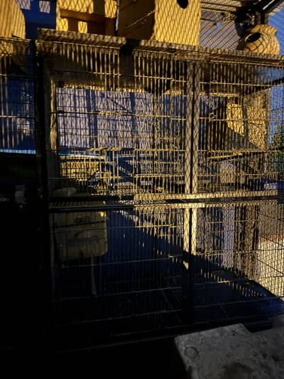 Master cage