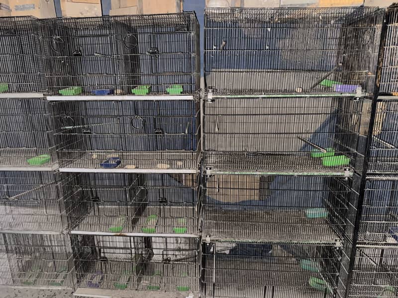 Master cage 1