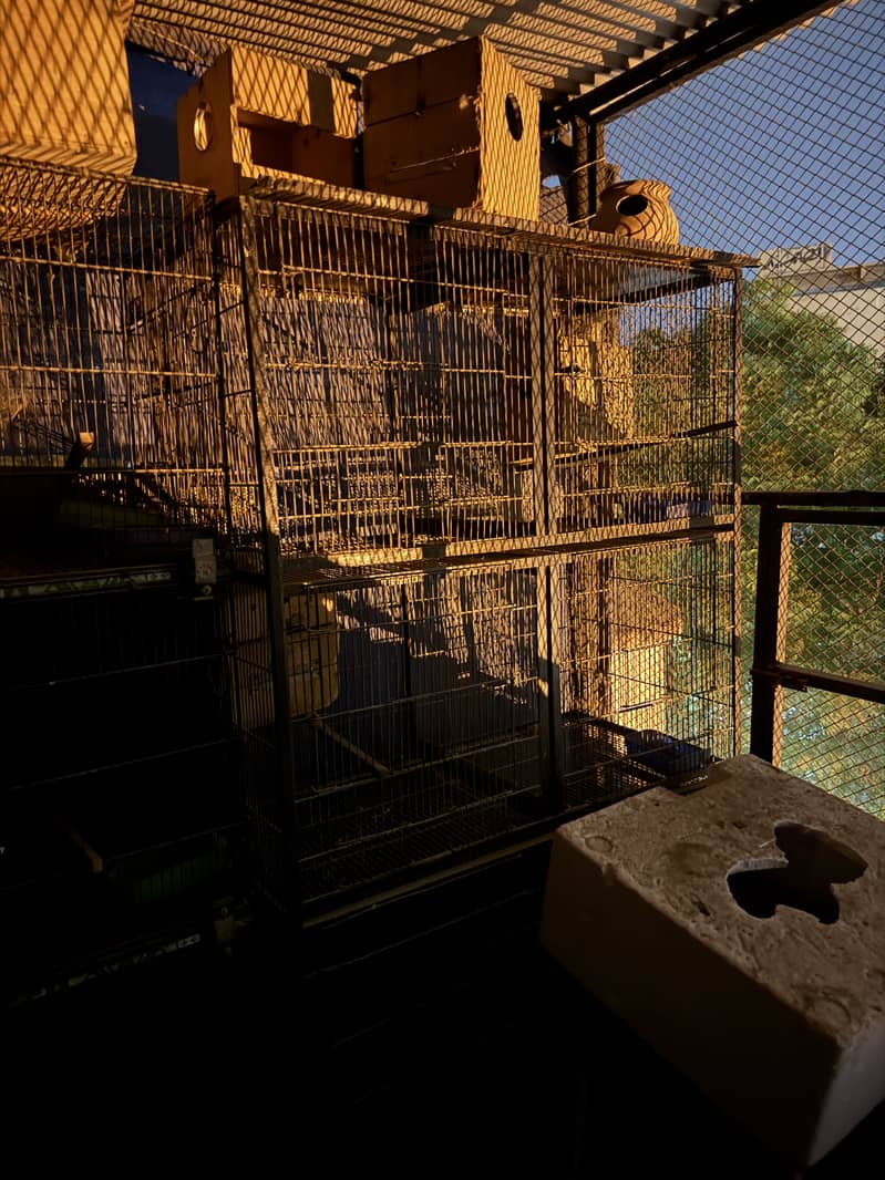 Master cage 3
