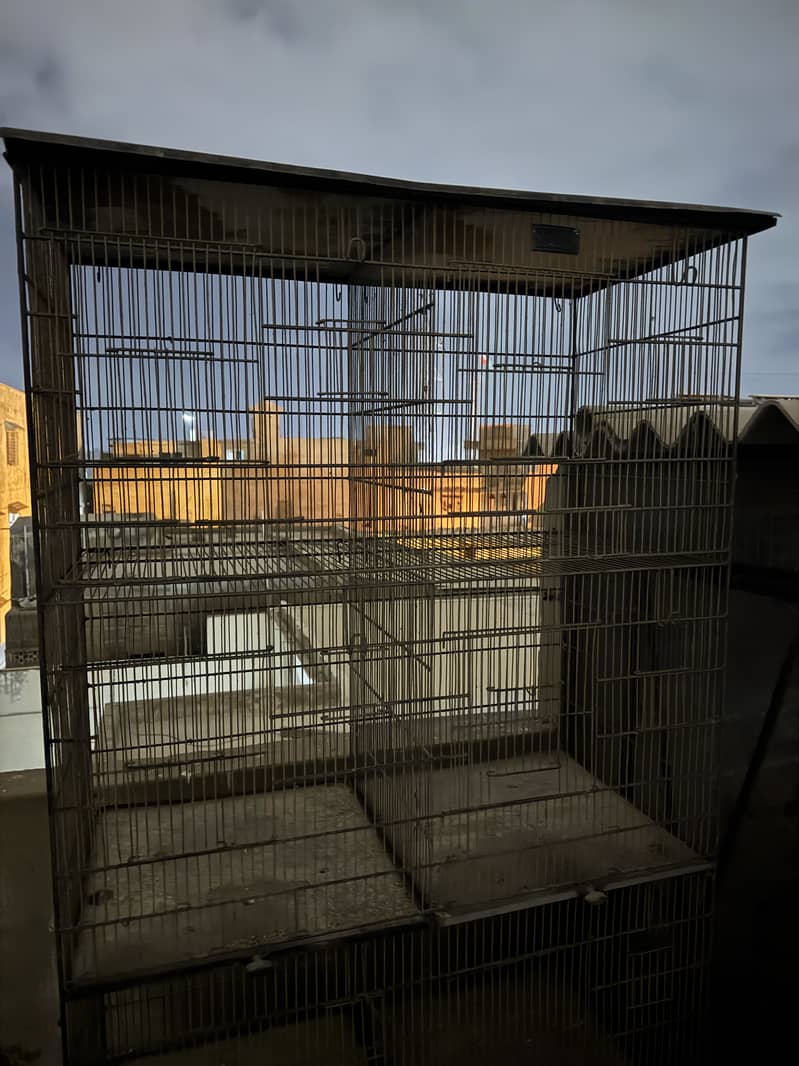Master cage 6