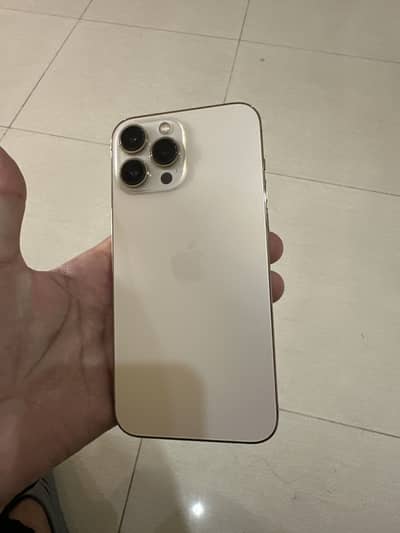 Apple iPhone 13 Pro Max