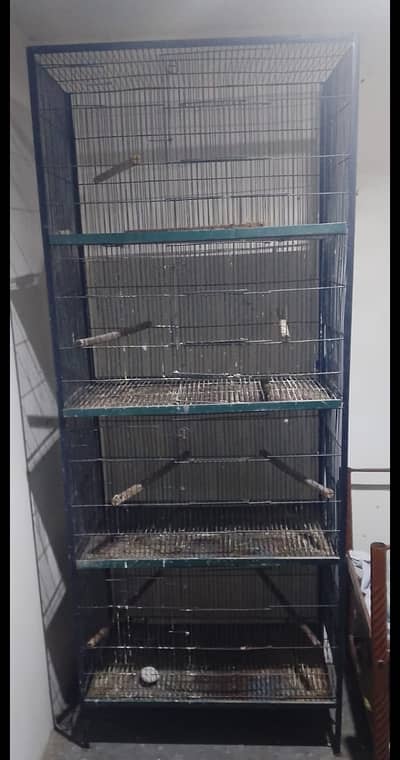 4 portion Iron Birds Cage