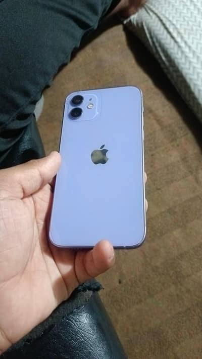 Apple iPhone 12