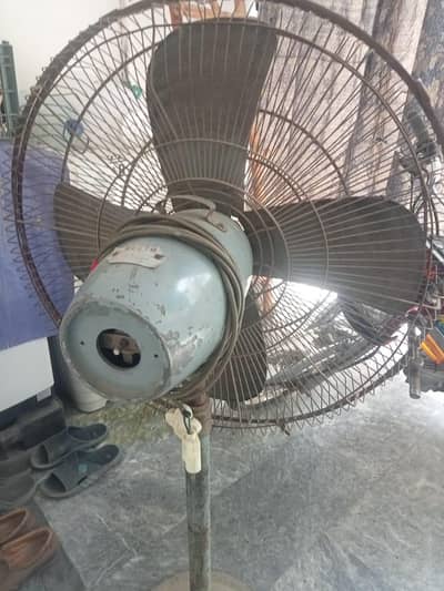 fan for sale