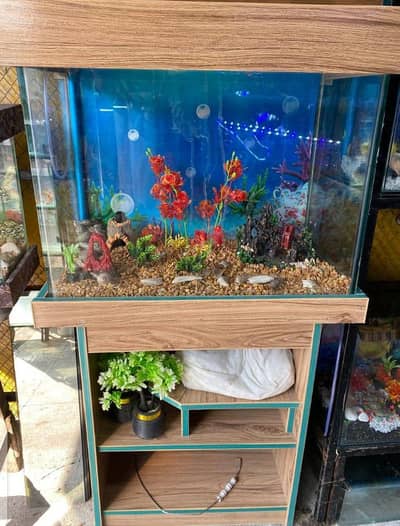 Fish aquarium and 5 Fishes For sale Just 14000